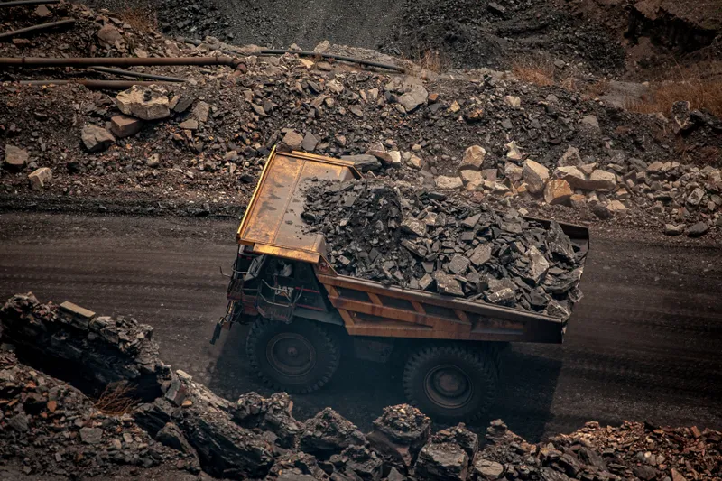 Zăcăm&acirc;nt - Foto: Profimedia Images