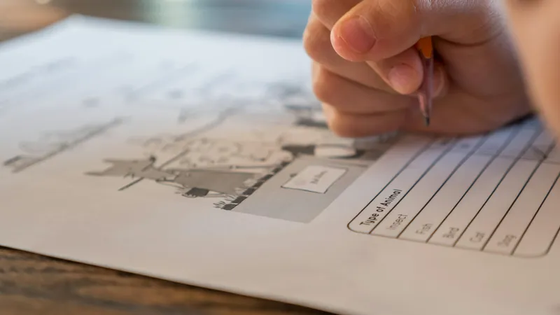 Elevii de clasa a IV-a dau astăzi primul test important. Calendarul examenelor pentru clasa primară Foto: Pexels (fotografie cu caracter ilustrativ)