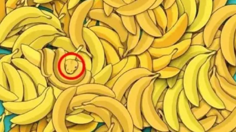 Animalul ascuns printre banane