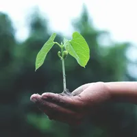 16 orașe din România au semnat pactul că vor elimina poluarea pentru a îndeplini Misiunea Europeană Foto: Pexels (fotografie cu caracter ilustrativ)
