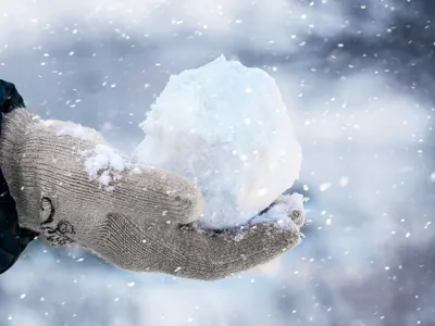 Bulgare zapadă - Foto: Freepik (imagine cu rol ilustrativ)