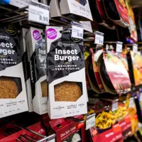 Alimentele care conțin insecte ajung și în magazinele din România. Cum le vom recunoaște la raft - FOTO: Profimedia Images