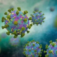 Un coronavirus pentru care nu există vaccin circulă nestingherit prin lume de 56 de ani