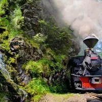 Mocănița Valea Vaserului