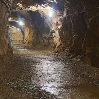 Echipele de salvare au ajuns la minerii blocați în subteran. FOTO: facebook