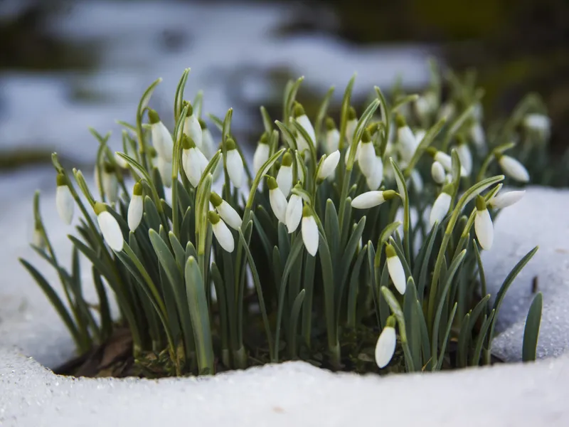 METEO Sunt așteptate temperaturi de 20 de grade în martie. În ce orașe vor fi înregistrate valorile Foto: Freepik (fotografie cu caracter ilustrativ)