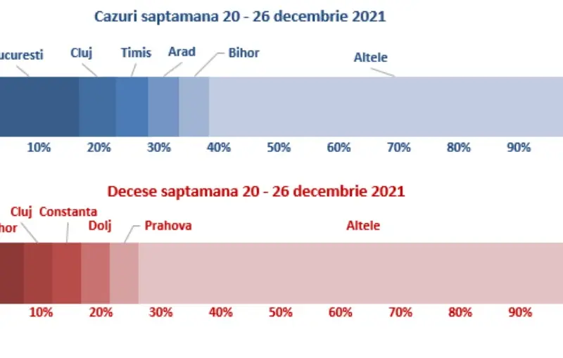 Sursa: INSP