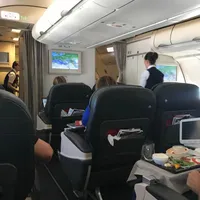 Business class, regretul Rodică Nassar/FOTO: facebook.com