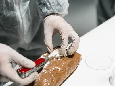 Droguri- Foto: PEXELS PHOTOS/MART PRODUCTION