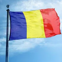 Drapelul României nu poate fi defăimat