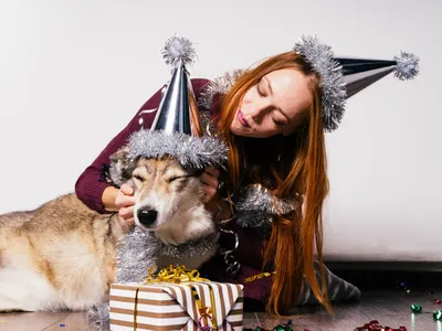 Cum să vă protejați animalele de companie de stres în noaptea de Revelion. Pot rămâne traumatizate pe viață? - Foto: Freepik (Imagine cu rol ilustrativ)