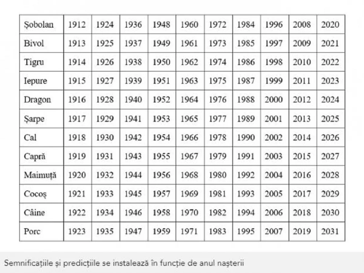 Zodiac China - Foto: Arhiva