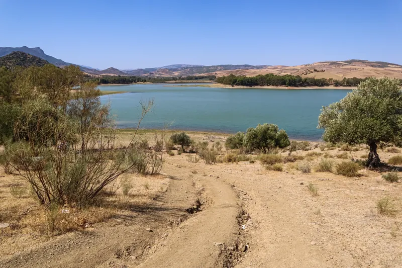 Apă &icirc;n deșert - Foto: Freepik (Imagine cu rol ilustrativ)