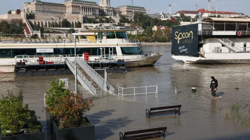Se umflă Dunărea. Care este noul pericol de inundaţii? Alertă maximă - Foto: Profimedia Images