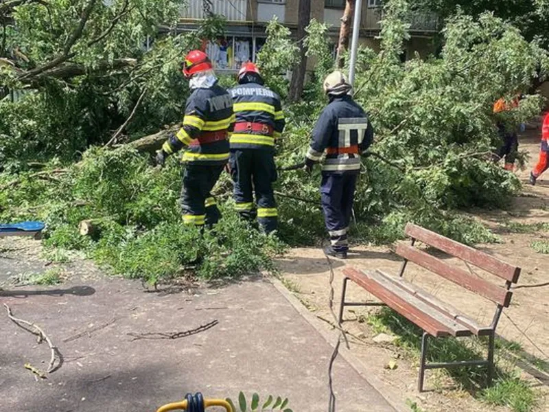 Un copac s-a prăbușit peste un parc de joacă din Suceava. S-ar fi putut întâmpla o tragedie Foto: ISU Suceava