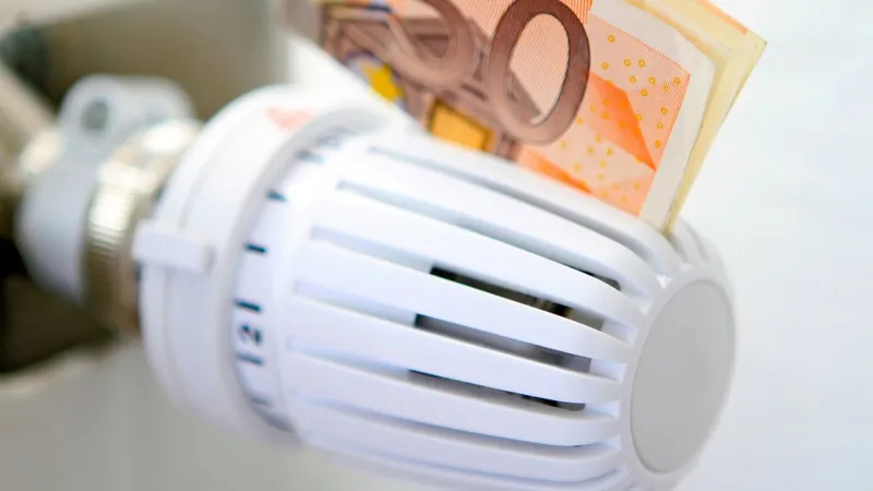 Adio calorifere. Invenția care revoluționează încălzirea locuințelor, cu economii de 90% în facturi - Foto: Profimedia images