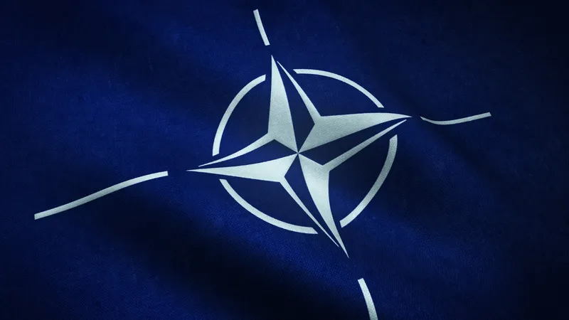 „Aliații NATO trebuie să-și asume propria apărare”. Ce mesaj a avut secretarul american al Apărării Foto: Freepik (fotografie cu caracter ilustrativ)