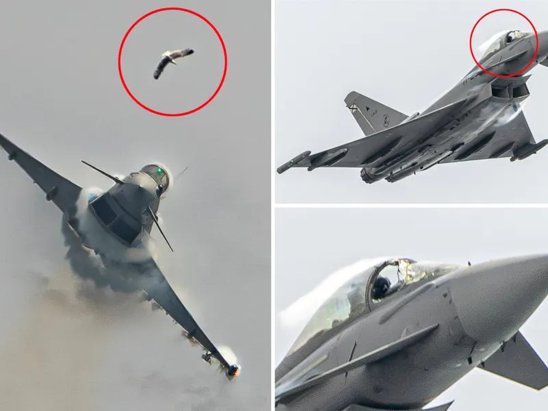 Momentul dramatic în care un pescăruș distruge cabina unui avion Eurofighter de 117.000.000 $ - Foto: X/ @tecas2000