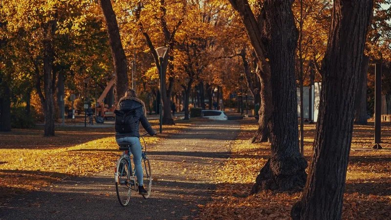 biciclete parc