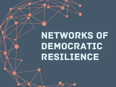 Networks Of Democratic Resilience