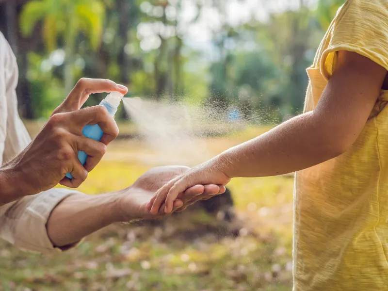 Condimentul cu care ții țânțarii la distanță. Fug atunci când ești prin prejmă. Te dai pe piele - Foto: Freepik (imagine cu rol ilustrativ)