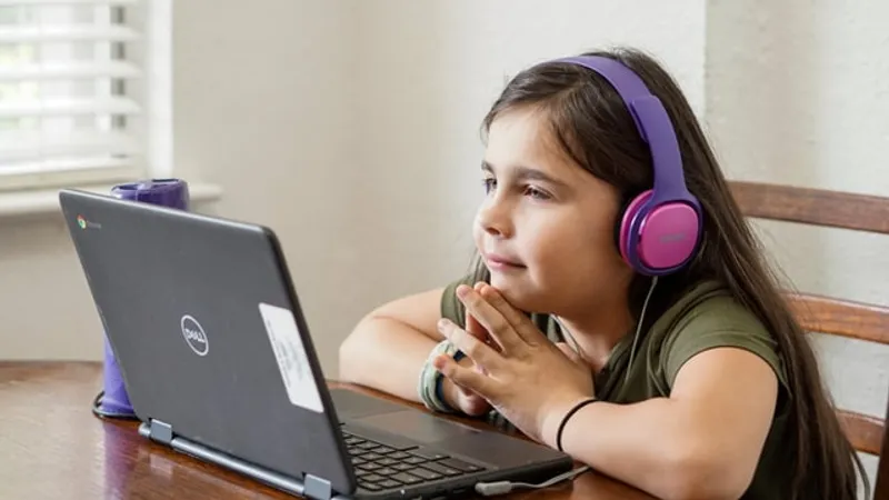 Sorin Cîmpeanu: Vom pregăti 100 de mii de profesori pentru predarea online/FOTO: Unsplash