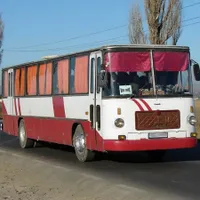 Povestea „Ratei”, a autobuzului Roman Diesel 111 care a transportat România zeci de ani - Foto: automobileromanesti.ro