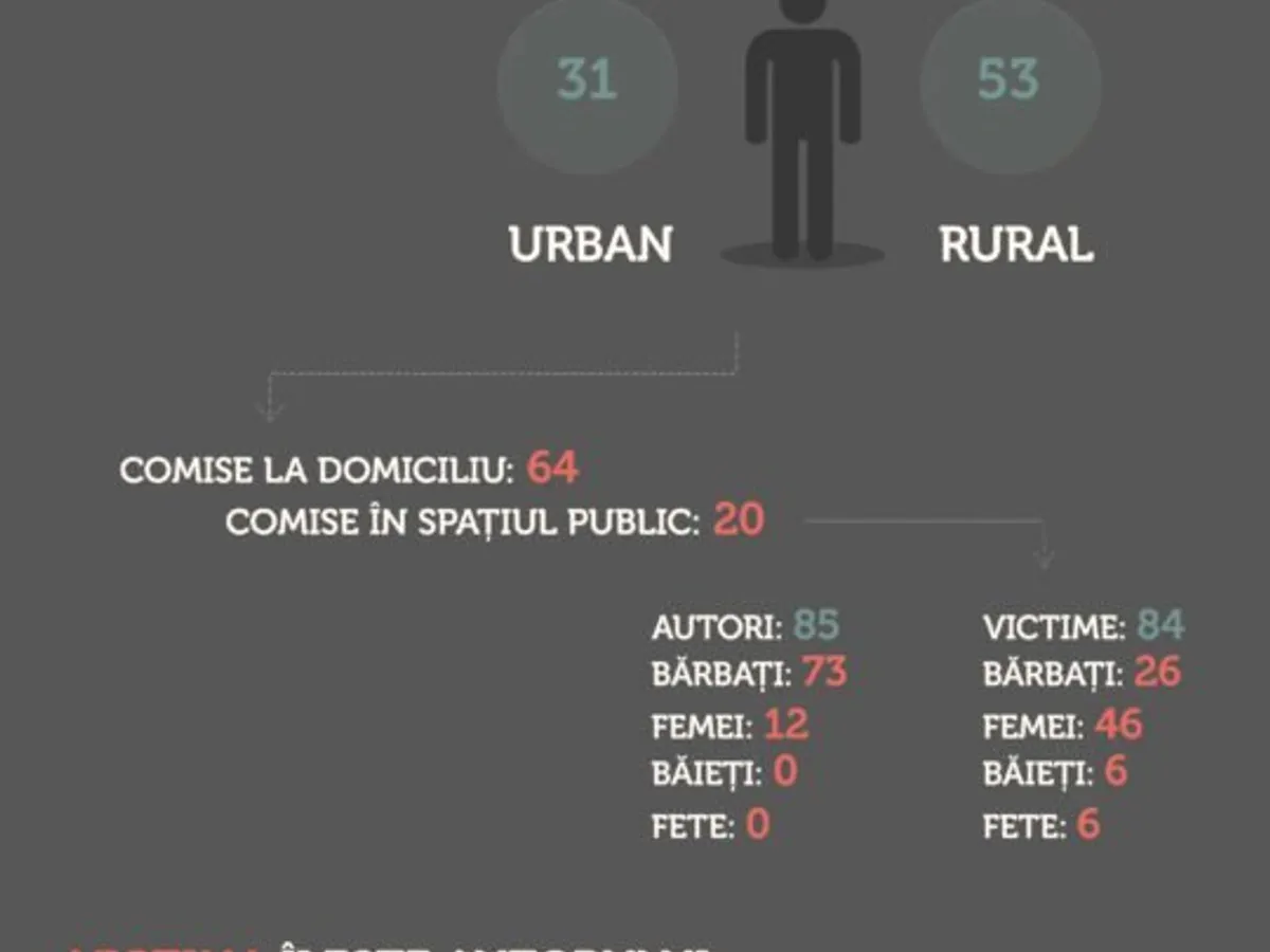 SURSA: Rețeaua pentru prevenirea și combaterea violenței împotriva femeilor
