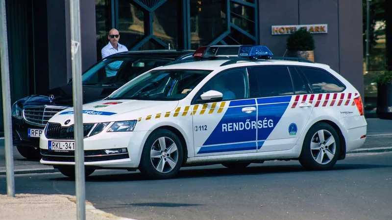 Două grupări internaționale de hoți de mașini, inculpate în Ungaria. Vindeau vehicule cu acte false. / Foto: Profimedia