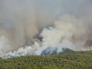 Grecia luptă împotriva incendiului din Evia. Pompierii fac progrese în Creta - Foto: Profimedia Images