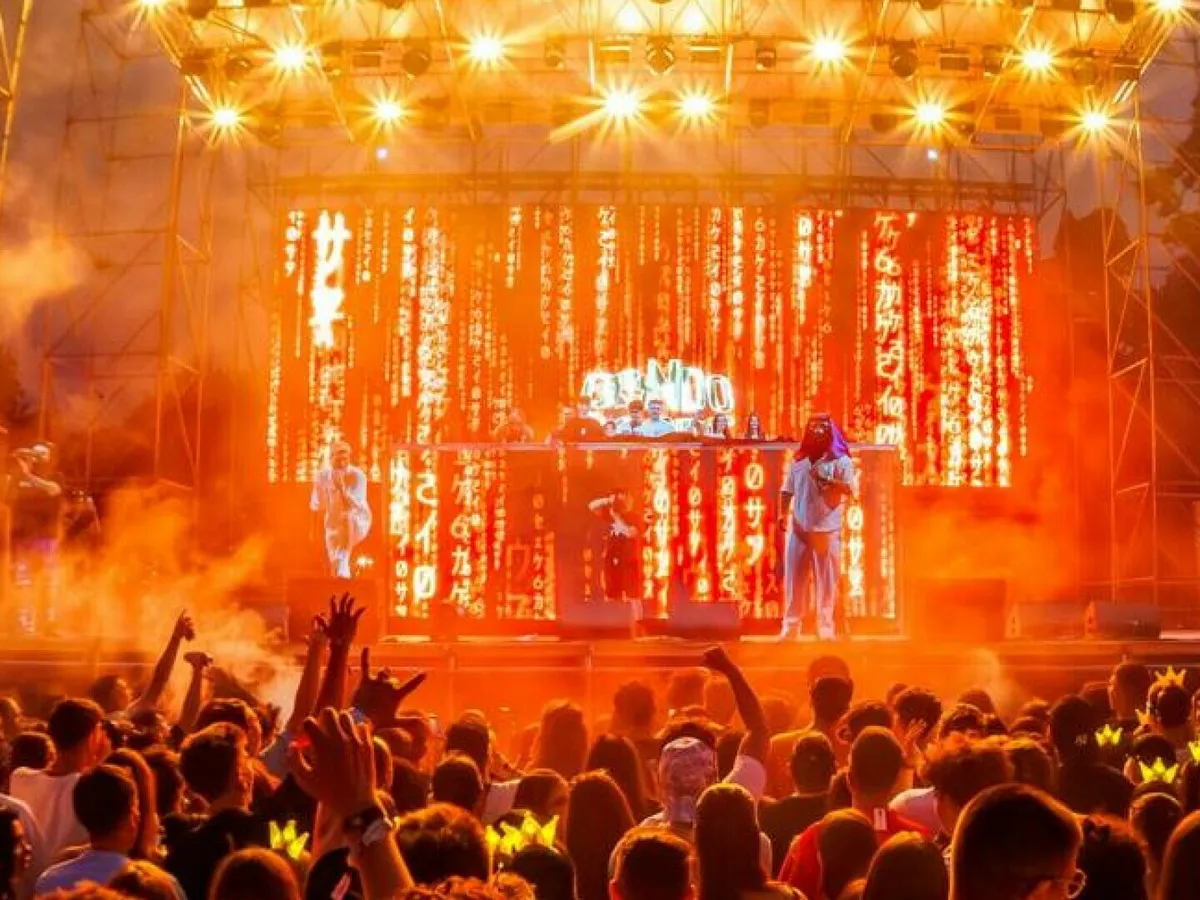 Zeci de sancțiuni și fapte penale în a doua zi a festivalului Neversea Kapital în București - Foto: Neversea Kapital