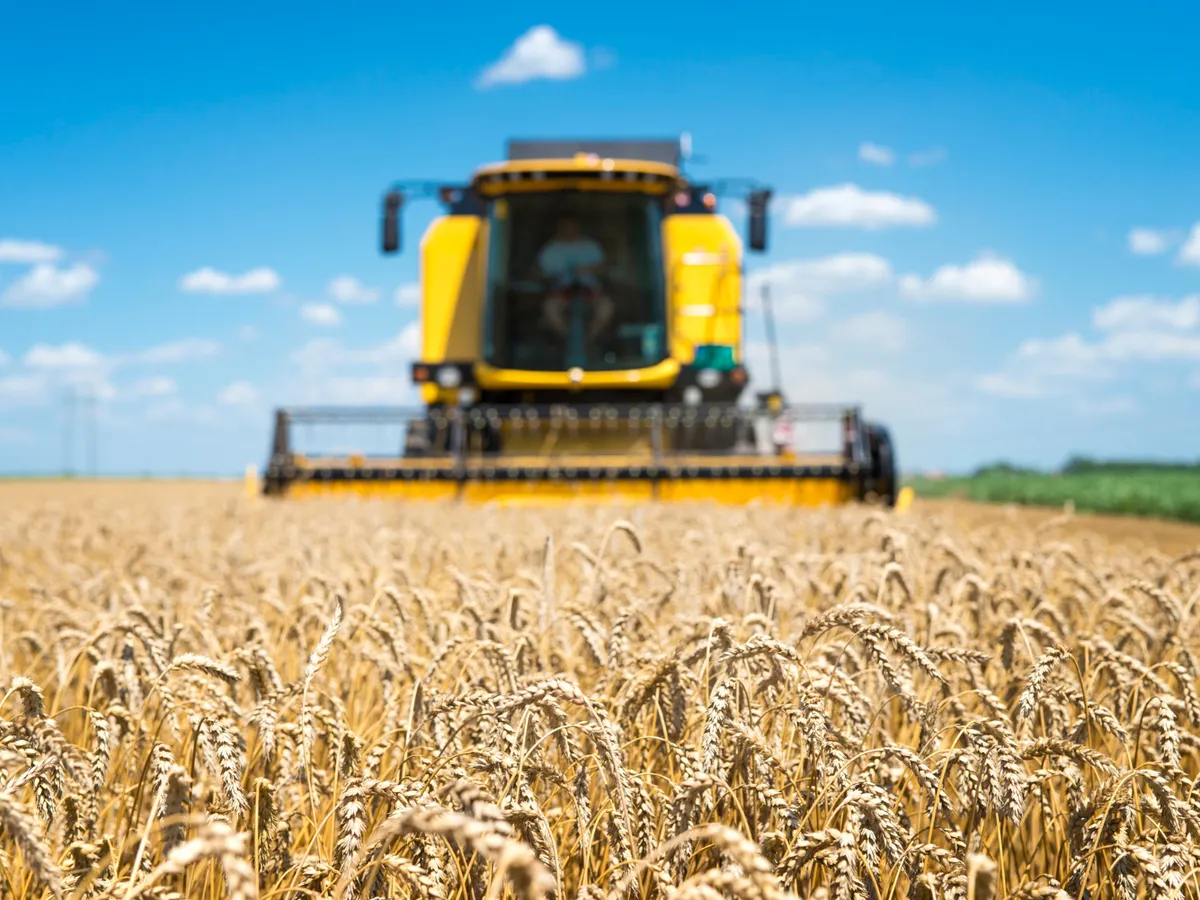 Florin Barbu: fermierii ar putea cumpăra motorină la 4–4,5 lei/l direct de la pompă, fără rambursarea accizei