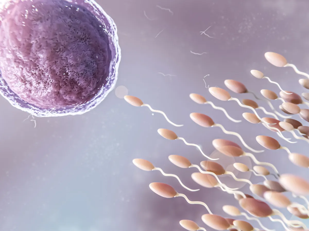 Foto: Un cuplu a reușit fertilizarea ini vitro cu AI Sursa: Freepik (rol ilustrativ)