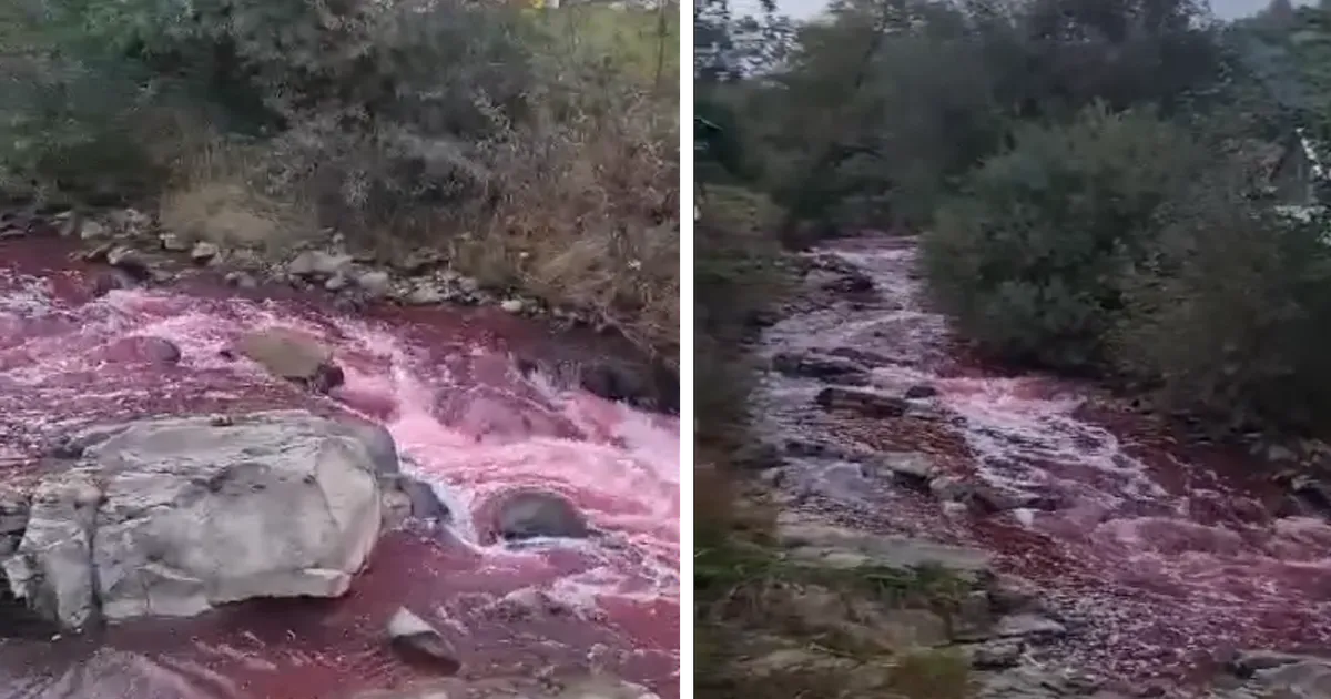 VIDEO Fenomen straniu. Apa unui râu din România a devenit „sângerie ...