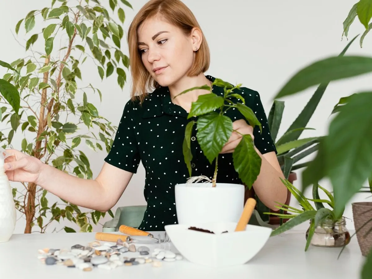 Plantă extraterestră descoperită în zona unui oraș fantomă. Ce spun cercetătorii - Foto: Freepik.com (rol ilustrativ)