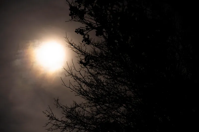 Eclipsă Foto: Freepik (imagine cu rol ilustrativ)