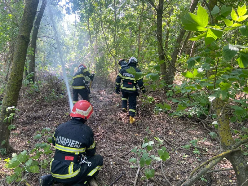 Incendii de vegetație - Foto: IGSU