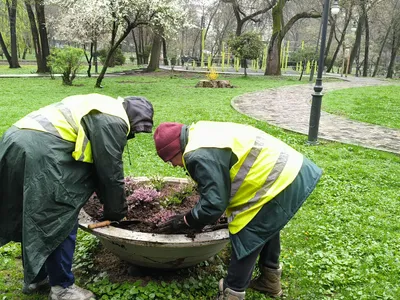 Florile din Parcul Cișmigiu, păzite de polițiști locali după furtul a sute de plante în doar câteva zile - Foto: Primăria Municipiului Bucureşti