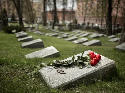Cimitir Foto: Freepik (imagine cu rol ilustrativ)
