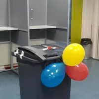 Care este comuna în care se vor folosi pubele de gunoi şi cutii de pantofi pentru urne de vot - Foto: stiridinsursebuzau.ro
