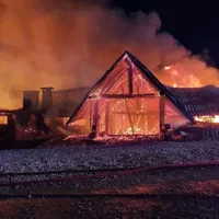 Mărturia unui apropiat al patronilor de la „Ferma  Dacilor” ar putea da peste cap ancheta. Ce a zis? Foto: ISU