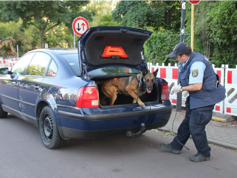 Doi români cu un VW cu numere false au lovit mașina poliției care-i urmărea în Germania. Polițiștii au folosit un câine care detectează droguri Foto: dubisthalle.de