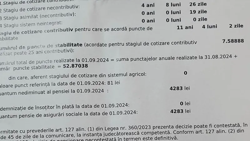 Decizie3