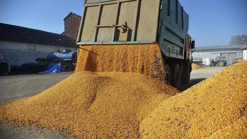 Peste 160 de tone de cereale ucrainene au fost distruse într-o gară poloneză în urma protestelor - Foto: Agrostiinta / imagine cu rol ilustrativ