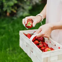 Trucul simplu prin care menții căpșunile proaspete o săptămână. Te costă doar 5 lei - Foto: Pexels.com (Imagine cu rol ilustrativ)