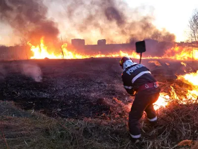 Incendiu de vegetaţie în Popeşti-Leordeni, aproape de Centura Capitalei/FOTO: Facebook/ISUBIF