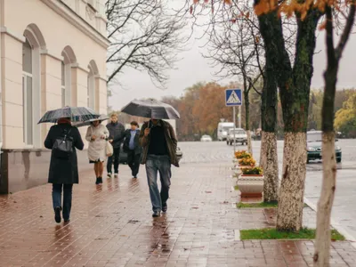 Toamna Foto: PExels (imagine cu rol ilustrativ)