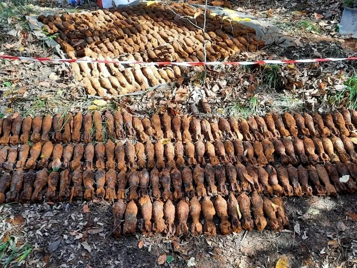600 de bombe, 70 de cartușe și 3 proiectile, descoperite într-o pădure din Argeș - Foto: ISU Argeș