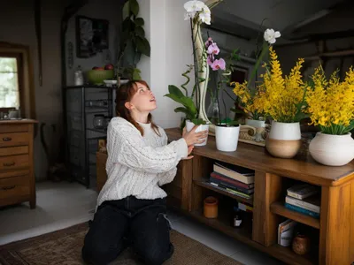 Trucul prin care îți poți muta florile afară, fără să le afectezi. Ai nevoie de un ingredient - Foto: Freepik (imagine cu rol ilustrativ)