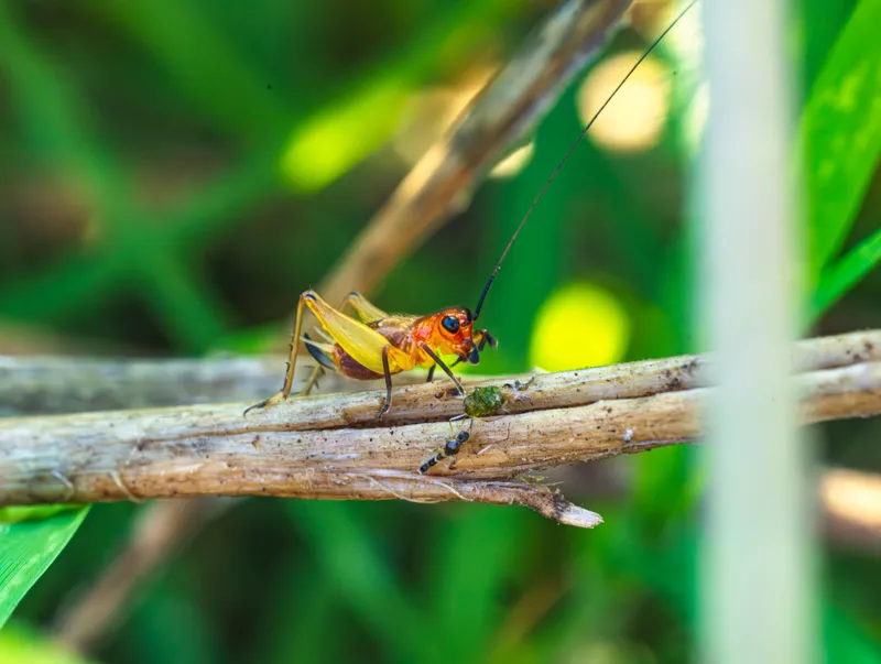 Greiere Foto: Pexels (imagine cu rol ilustrativ)